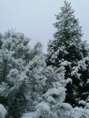 Prodej písků, drtí a nově i OBLÁZKŮ  různých frakcí a odstínů. 